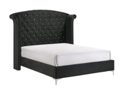 Lucinda Black Queen Upholstered Wingback Panel Bed - Lara FurnitureQueen Bed