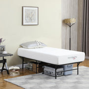 Mabel Metal Twin Mattress Support Platform Bed Black - 305957T