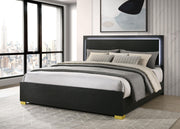 Marceline Wood Eastern King LED Panel Bed Black - 222831KE