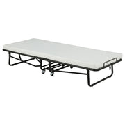 Massey Twin Folding Bed Frame with Memory Foam Mattress Black - 305686T