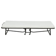 Massey Twin Folding Bed Frame with Memory Foam Mattress Black - 305686T