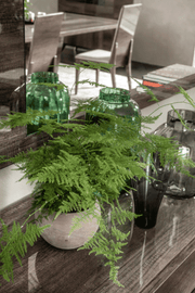 Medea Dining Room Set - Lara FurnitureDining Room Set