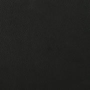 Medley Genuine Leather Queen Panel Platform Bed Black - 315911BLKQ