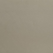 Medley Genuine Leather Queen Panel Platform Bed Tan - 315911TANQ