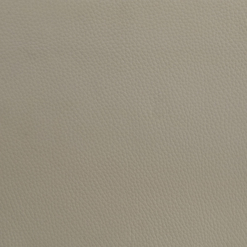 Medley Genuine Leather Queen Panel Platform Bed Tan - 315911TANQ