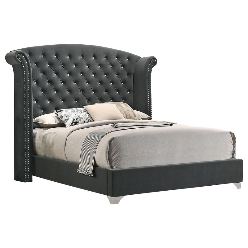 Melody Upholstered Queen Wingback Bed Grey - 223381Q
