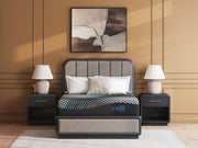 Millennium 2.0 Hybrid 14 Inch Black King Mattress - M31341