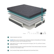 MT-H08T 8" Twin Gel-Infused Memory Foam Hybrid Mattress - MT-H08T