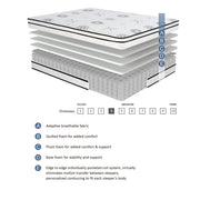 MT-PH12T 12" Twin Hybrid Mattress - MT-PH12T