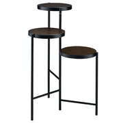 Namid Plant Stand - 97799