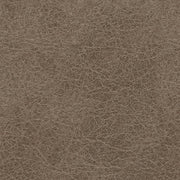 Navi Fossil Queen Sofa Sleeper - 9400439