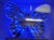 NY-BUTTERFLY - NY-BUTTERFLY