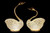 NY-SWAN-1 - NY-SWAN-1