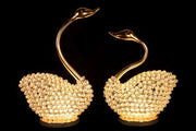 NY-SWAN-2 - NY-SWAN-2