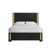 Olen - Black Panel Queen Bed with LED Light - B312-Q-Bed