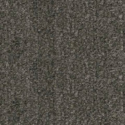 Olten Graphite 2-Piece Sectional with Chaise - 31305S1