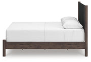 Pamytta Queen Upholstered Panel Bed, Dresser, Mirror and Chest in Brown - PKG022731