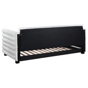 Patricia Boucle Upholstered Twin Day Bed with Trundle White - 300716