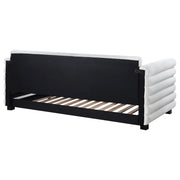 Patricia Boucle Upholstered Twin Day Bed with Trundle White - 300716