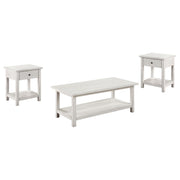 Payne 3-piece Coffee and 1-drawer End Table Set White - 710558-S3