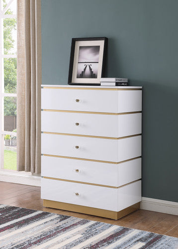 RANA CHEST - RANA CHEST