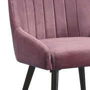Riley Side Chair (Set-2) - 74012