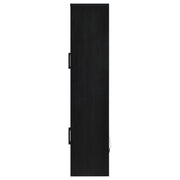 Riva 4-door Tall Accent Display Cabinet LED Lighting Black - 950432