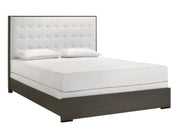 Sharpe Brown Queen Upholstered Panel Bed - Lara FurnitureQueen Bed
