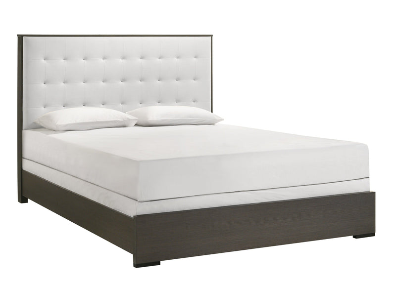 Sharpe Brown Queen Upholstered Panel Bed - Lara FurnitureQueen Bed