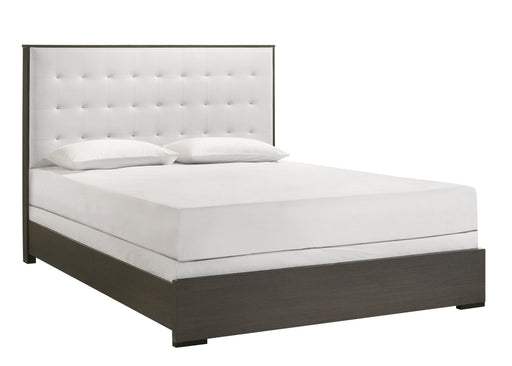 Sharpe Brown Queen Upholstered Panel Bed - Lara FurnitureQueen Bed