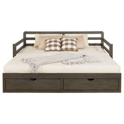 Sorrento 2-drawer Twin XL Daybed with Extension Trundle Grey - 305706