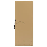 Spector 1-drawer Lighted Full-Length Floor Mirror Mango - 960965