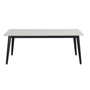 Tina - White Rectangular Shape Dining Table with Faux Marble Top - D213-Table