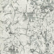 Tobinbury Gray Washable 8' x 10' Area Rug - R407421