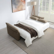 Turpin Sofa w/Sleeper, 2 Pillows & Storage - LV07230