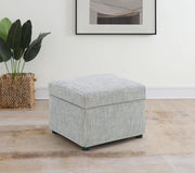 Winter Upholstered Hydraulic Lift Top Storage Ottoman Grey - 904138