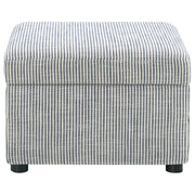 Winter Upholstered Hydraulic Lift Top Storage Ottoman Grey - 904138