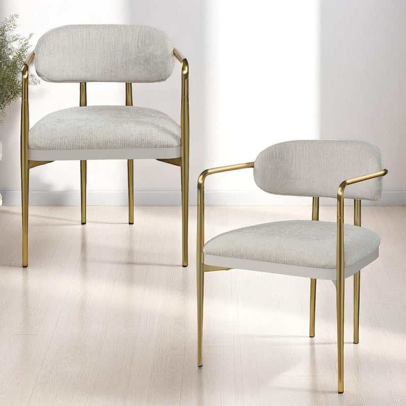 Zayn Arm Chair (Set-2) - DN04206