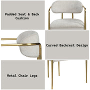 Zayn Arm Chair (Set-2) - DN04206