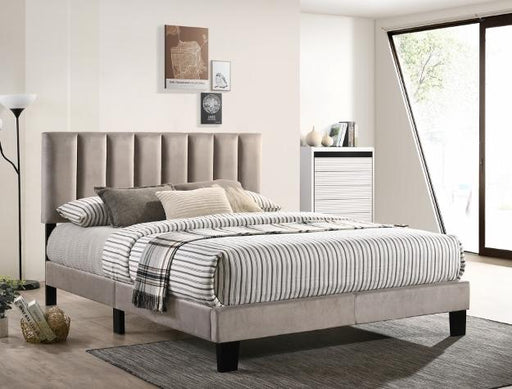 Lyric Gray Velvet King Platform Bed - Lara Furniture