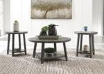 Caitbrook Gray Table (Set of 3) - Lara Furniture